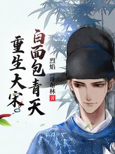大宋之包青天小说